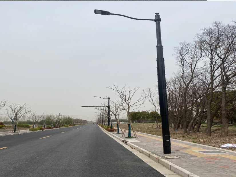 松阳县上海综合杆 太阳能路灯工程
